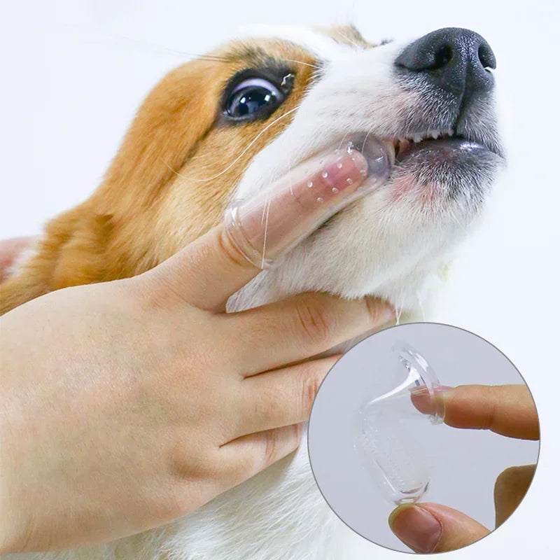 Escova de Dedos para Cão